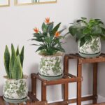 Ceramic-Planters-for-Indoor-Plants with Saucer, 6 inch Vintage Ice Crack Glaze P... - Image 3