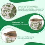 Ceramic-Planters-for-Indoor-Plants with Saucer, 6 inch Vintage Ice Crack Glaze P... - Image 6