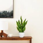 Hollyone Artificial Snake Plant Potted Faux Sansevieria Trifasciata Plants, 18" ... - Image 4