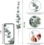 CEWOR 24pcs Eucalyptus Stems Artificial Eucalyptus Leaves Fake Greenery Branches... - Image 3