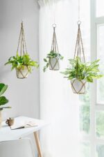 Dahey Macrame Plant Hanger Set of 3 with Hooks Indoor Hanging Planter Basket 35"... - Image 3