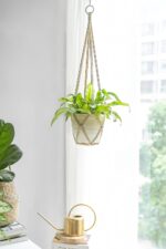 Dahey Macrame Plant Hanger Set of 3 with Hooks Indoor Hanging Planter Basket 35"... - Image 4