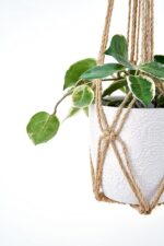 Dahey Macrame Plant Hanger Set of 3 with Hooks Indoor Hanging Planter Basket 35"... - Image 6