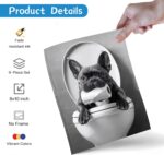 Funny Bathroom Wall Art Set of 9 - Black and White Humorous Animal Wall Decor Pi... - Image 3