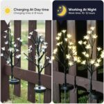 Solar Garden Lights Waterproof, Sola Lights Outdoor Decorative 4Pack,80Led Solar... - Image 4