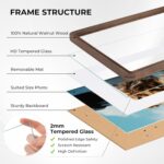 Axeman 8x10 Solid Walnut Wood Picture Frames Matted to 5x7 with Tempered Glass f... - Image 4