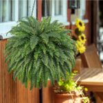 FOREST PRINCE 50" Artificial Boston Ferns, Fake Bush Plants, Large Faux Ferns wi... - Image 7