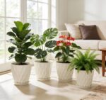 UOUZ 8 Inch Plant Pots, 4 Pack Plastic Planters for Indoor Outdoor with Drainage... - Image 8