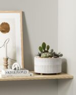 LE TAUCI Succulent Planters, 6.5+8 Inch Ceramic Indoor Plant Pot with Drainage H... - Image 4