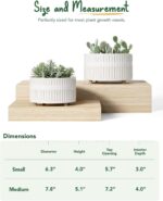 LE TAUCI Succulent Planters, 6.5+8 Inch Ceramic Indoor Plant Pot with Drainage H... - Image 6