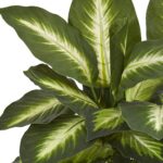 Nearly Natural Artificial Dieffenbachia Plant Faux Greenery in Ceramic Planter f... - Image 3