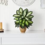 Nearly Natural Artificial Dieffenbachia Plant Faux Greenery in Ceramic Planter f... - Image 5