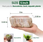 T4U 5.5 Inch Ceramic Succulent Pot Planter with Drainage Hole Set of 3, Stone Sh... - Image 3