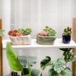 T4U 5.5 Inch Ceramic Succulent Pot Planter with Drainage Hole Set of 3, Stone Sh... - Image 6