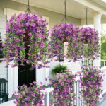 Roberly 4 Pcs Artificial Hanging Flowers for Outdoors, Realistic Faux Silk Flowe... - Image 5