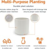 Amazon Basics Fluted Ceramic Round Planter with Drainage Hole, 8-inch, White, In... - Image 3