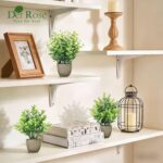 Der Rose 4 Pack Mini Artificial Plants Indoor in Pots Mixed Fake Plants Greenery... - Image 3