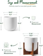 LE TAUCI 10 Inch Plant Pot with Acacia Wood Stand, Ceramic Planters for Indoor P... - Image 6