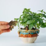 Tortoise Figure Plant Pot Hanger, Resin Climbing Flower Pot Hanger Figurines Cut... - Image 8
