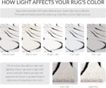 SAFAVIEH Florida Shag Collection Area Rug - 6'7" Square, Ivory & Black, Non-Shed... - Image 7