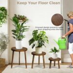 Janedream 3-Pack Wooden Plant Stands, Small Indoor Plant Stool Set, Round Wood F... - Image 5