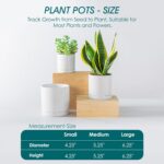 vancasso Ceramic Plant Pots, 3 Piece Planters for Indoor Plants, 4.25+5.25+6.25 ... - Image 3