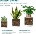 vancasso Ceramic Plant Pots, 3 Piece Planters for Indoor Plants, 4.25+5.25+6.25 ... - Image 4