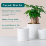 vancasso Ceramic Plant Pots, 3 Piece Planters for Indoor Plants, 4.25+5.25+6.25 ... - Image 5