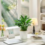 vancasso Ceramic Plant Pots, 3 Piece Planters for Indoor Plants, 4.25+5.25+6.25 ... - Image 7