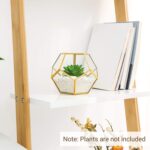 Mkono 4 Inches Mini Glass Geometric Terrarium Container Set of 3 Modern Tabletop... - Image 4