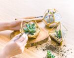 Mkono 4 Inches Mini Glass Geometric Terrarium Container Set of 3 Modern Tabletop... - Image 5