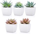 FUNARTY 5pcs Artificial Succulent Plants, Small Fake Desk Plants Mini Succulents... - Image 4