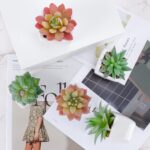FUNARTY 5pcs Artificial Succulent Plants, Small Fake Desk Plants Mini Succulents... - Image 7
