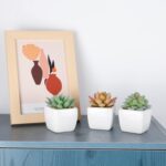 FUNARTY 5pcs Artificial Succulent Plants, Small Fake Desk Plants Mini Succulents... - Image 8
