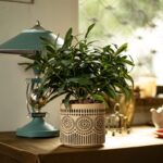 Ceramic Planter 4 Inch Plant Pots Indoor Outdoor Succulent Plant Pot Flower Pots... - Image 3