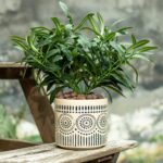 Ceramic Planter 4 Inch Plant Pots Indoor Outdoor Succulent Plant Pot Flower Pots... - Image 4