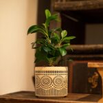 Ceramic Planter 4 Inch Plant Pots Indoor Outdoor Succulent Plant Pot Flower Pots... - Image 8