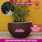 GARDENIX DECOR Self Watering Hanging Planter, 11'' Indoor, Brown, Coco Coir, wit... - Image 4
