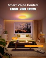 Govee Smart Ceiling Light 4300LM 15 Inch, RGBIC LED Ceiling Light Fixture Works ... - Image 5