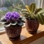 Decorative Ceramic Planter Pot with Saucer, Brown with Gold and Silver Owl Patte... - Image 3