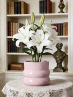 6 Inch Plant Pot,Ceramic Planter Pot with Drainage Hole,Indoor Planters for Herb... - Image 4