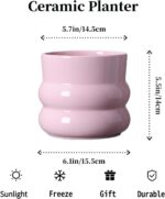 6 Inch Plant Pot,Ceramic Planter Pot with Drainage Hole,Indoor Planters for Herb... - Image 6