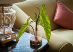 SUNPRAIRIE Realistic Faux Plant in Clear Pot with Artificial Water, Narrow Arrow... - Image 6