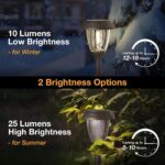 XMCOSY+ Solar Pathway Lights Outdoor, Glass & Stainless Steel Garden Lights with... - Image 4