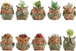 TOPZEA 10 Pack Succulent Planter Pots with Drainage Hole, Cute Owl Ceramic Small... - Image 5