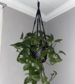 43 Inches Macrame Planter Hanger Large for 12 inch Pot + Swag Hook (Extra Long &... - Image 5