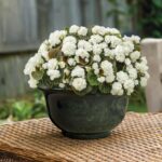 Classic Home and Garden Venetian Deep Bowl 12.5" Planter, Green Granite - Image 3