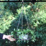 Metal Hanging Planters,Plant Hanger Basket Decorative Plant Pot Holder for Outdo... - Image 3