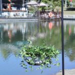 Metal Hanging Planters,Plant Hanger Basket Decorative Plant Pot Holder for Outdo... - Image 8