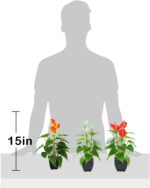 Beebel Artificial Flower Plants Calla Lily Faux Small Potted Plant with Black Po... - Image 3
